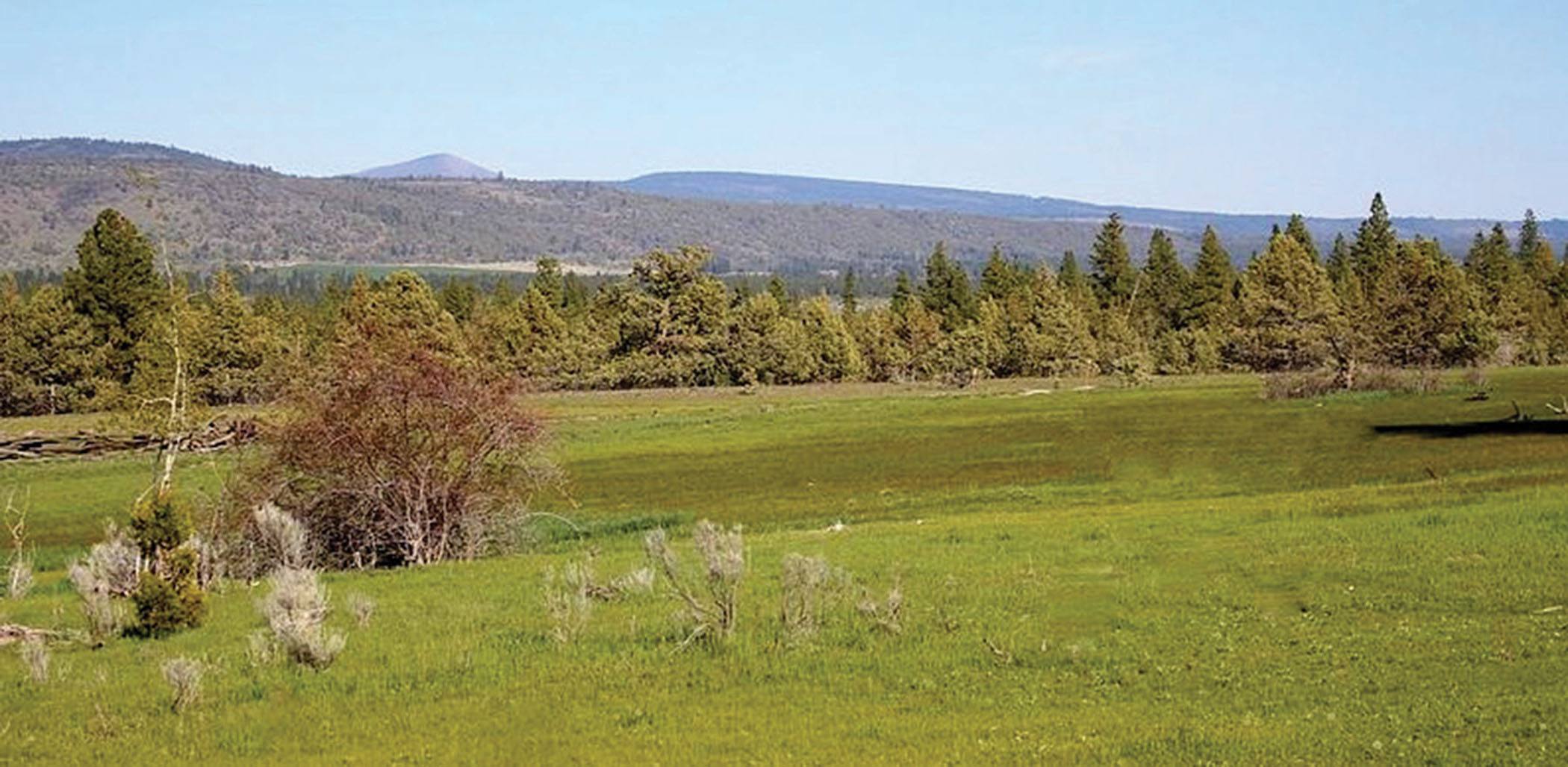 Chapman Ranch property picture 8 of 10