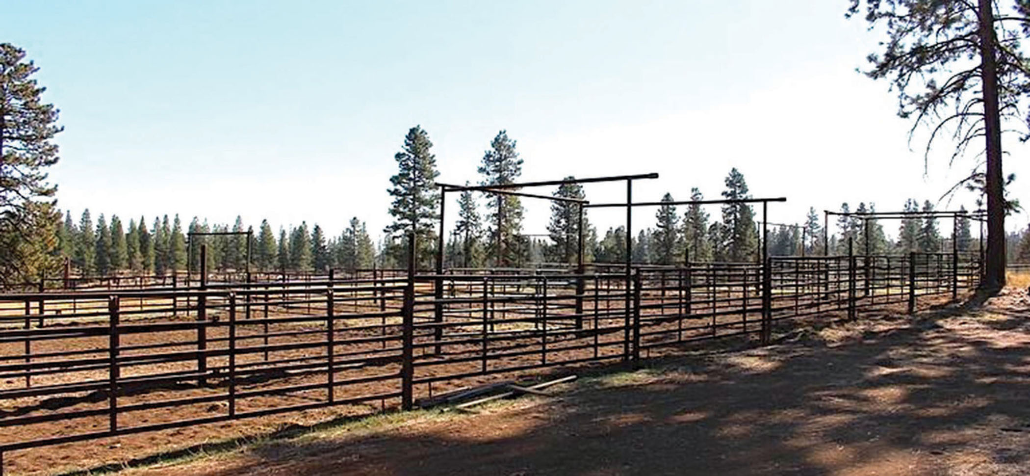 Chapman Ranch property picture 7 of 10