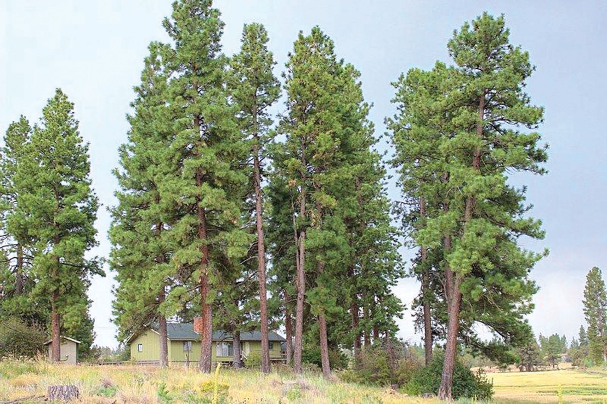 Chapman Ranch property picture 5 of 10