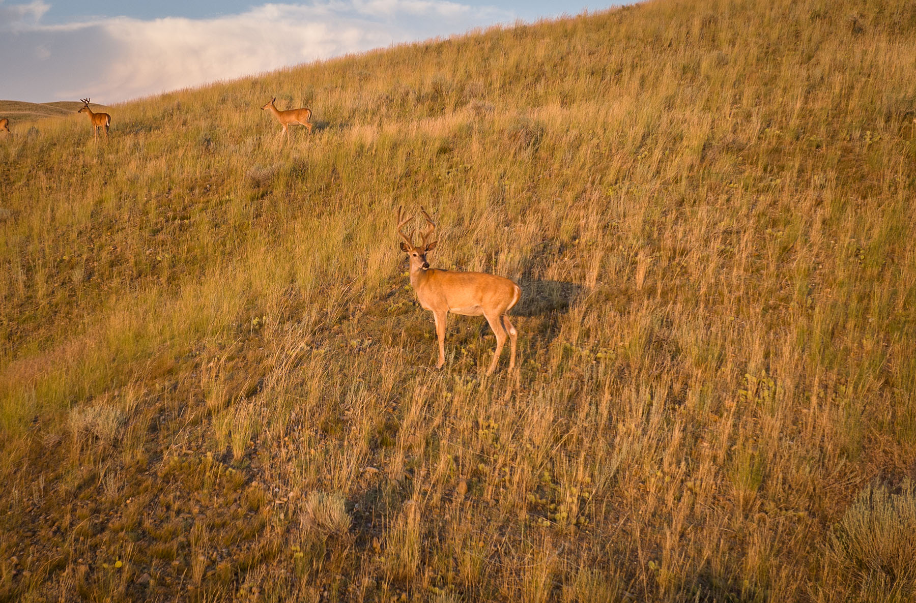 Talon Ranch property picture 51 of 59