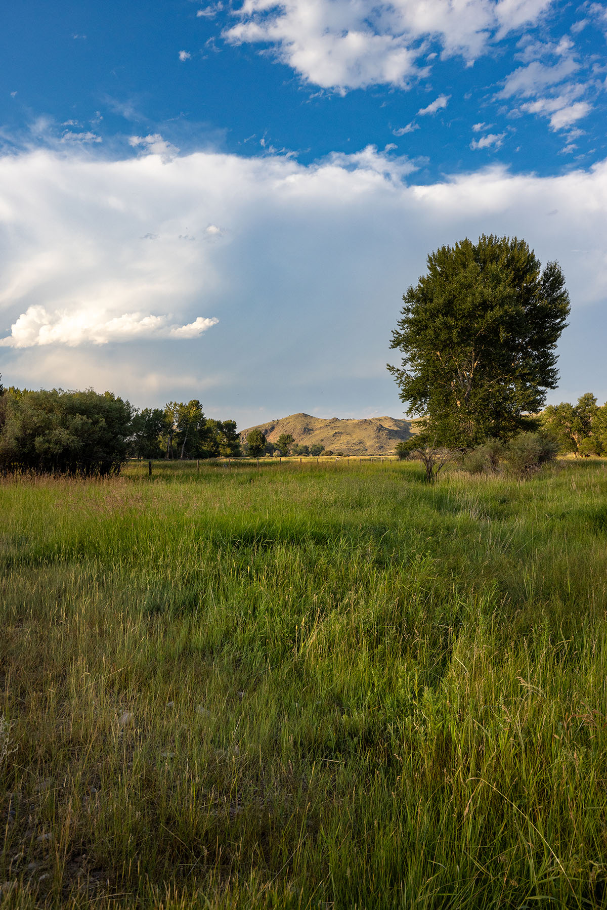 Talon Ranch property picture 56 of 59