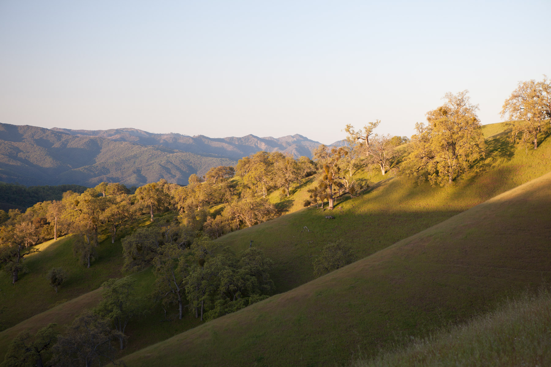 Rana Creek Ranch property picture 95 of 121