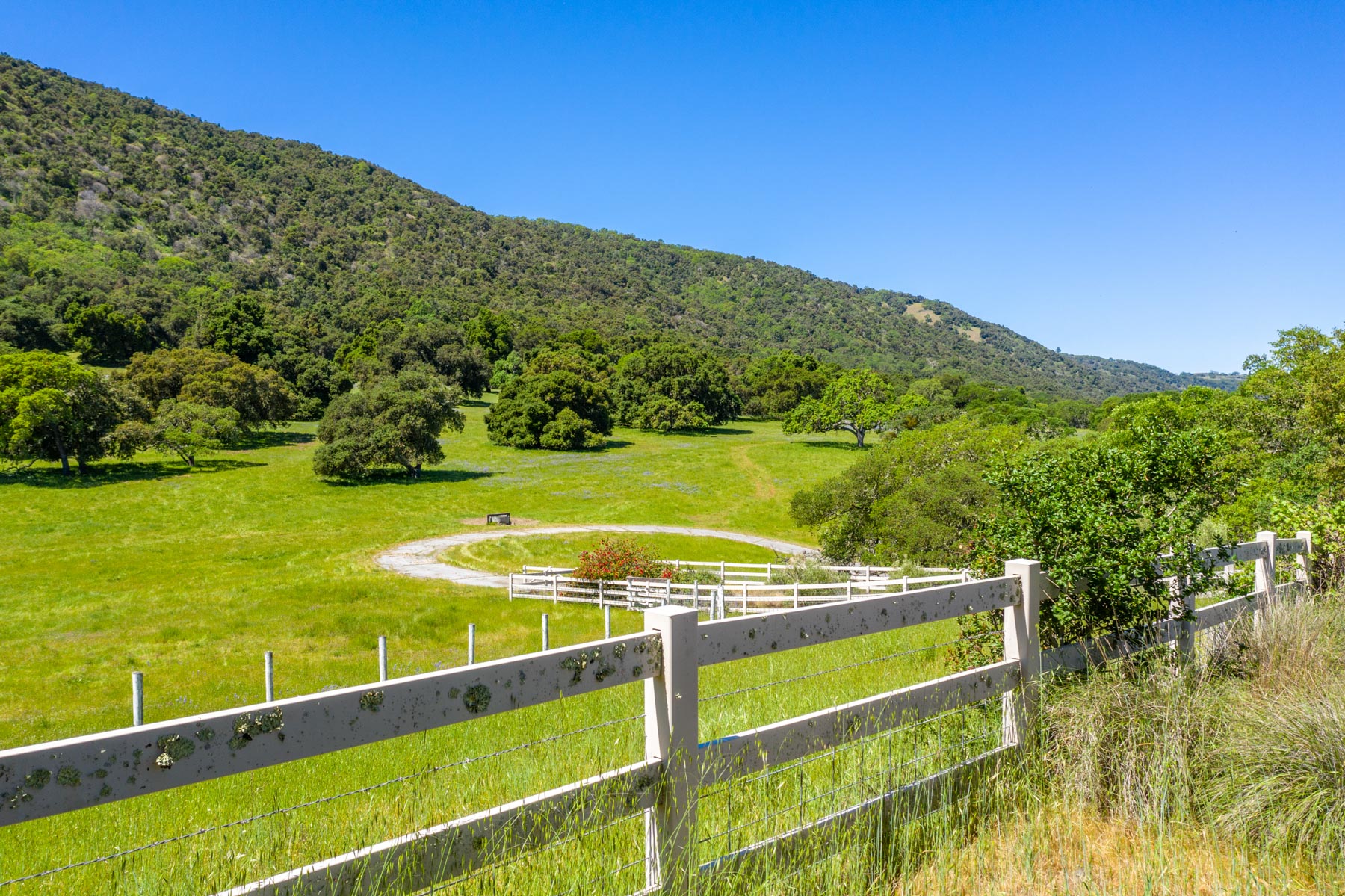 Rana Creek Ranch property picture 65 of 121