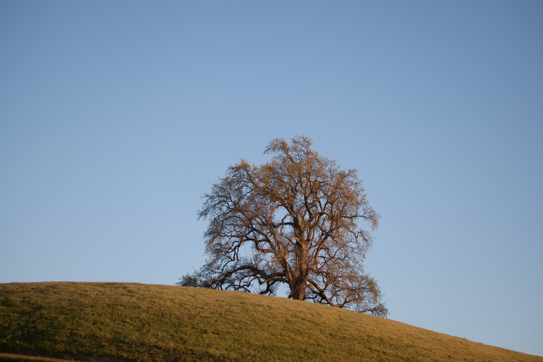 Rana Creek Ranch property picture 92 of 121