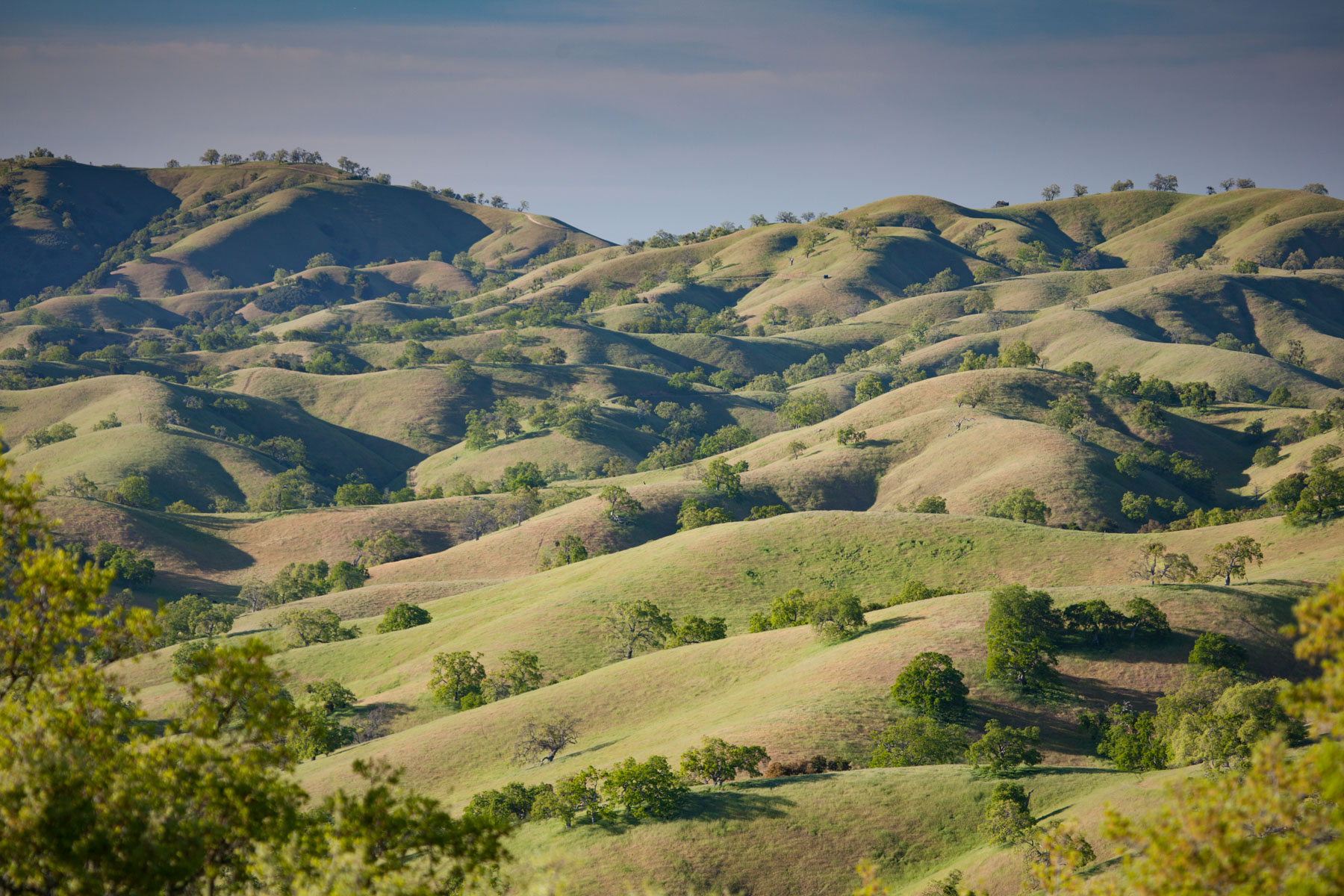 Rana Creek Ranch property picture 14 of 121