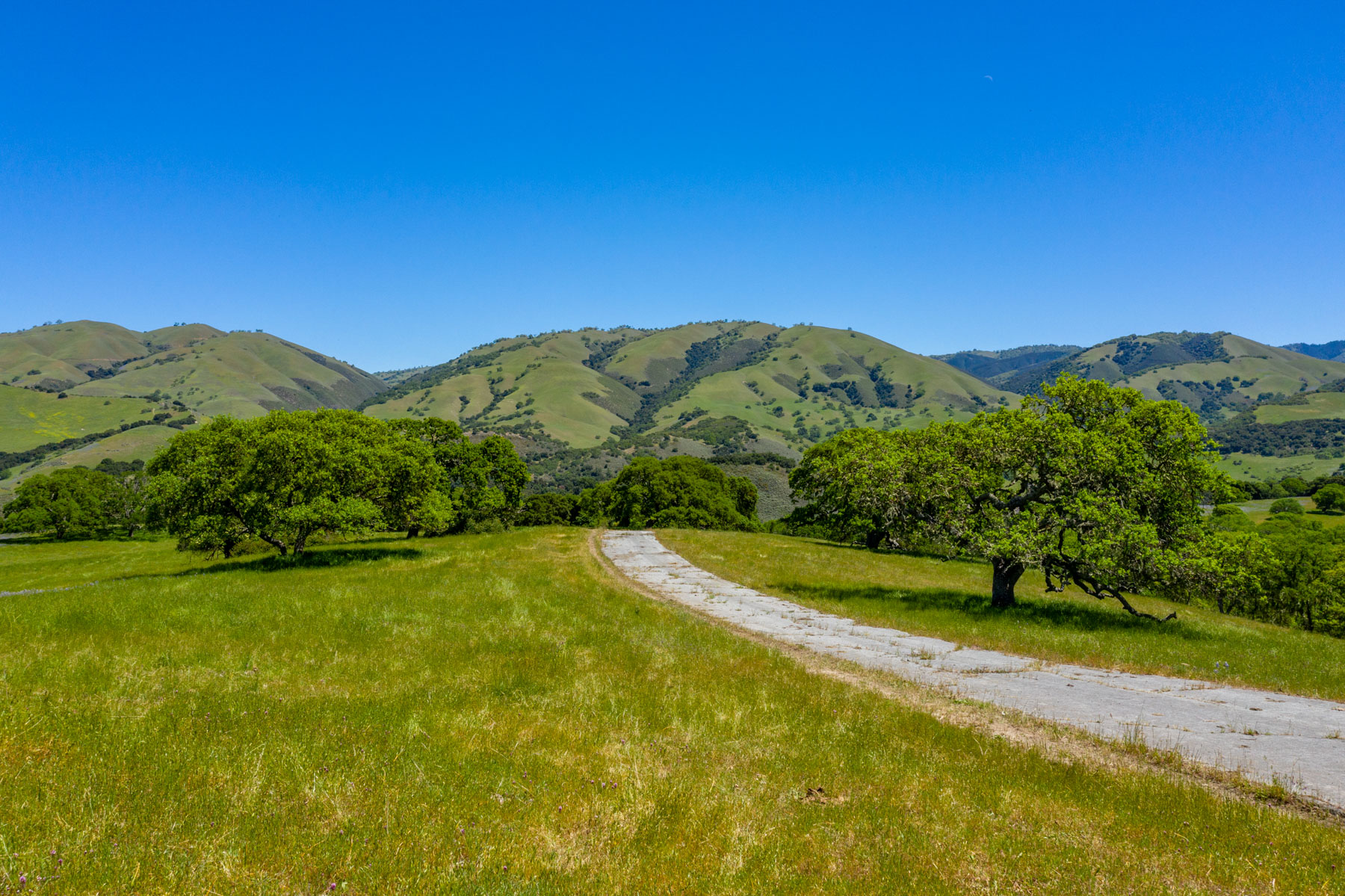Rana Creek Ranch property picture 67 of 121
