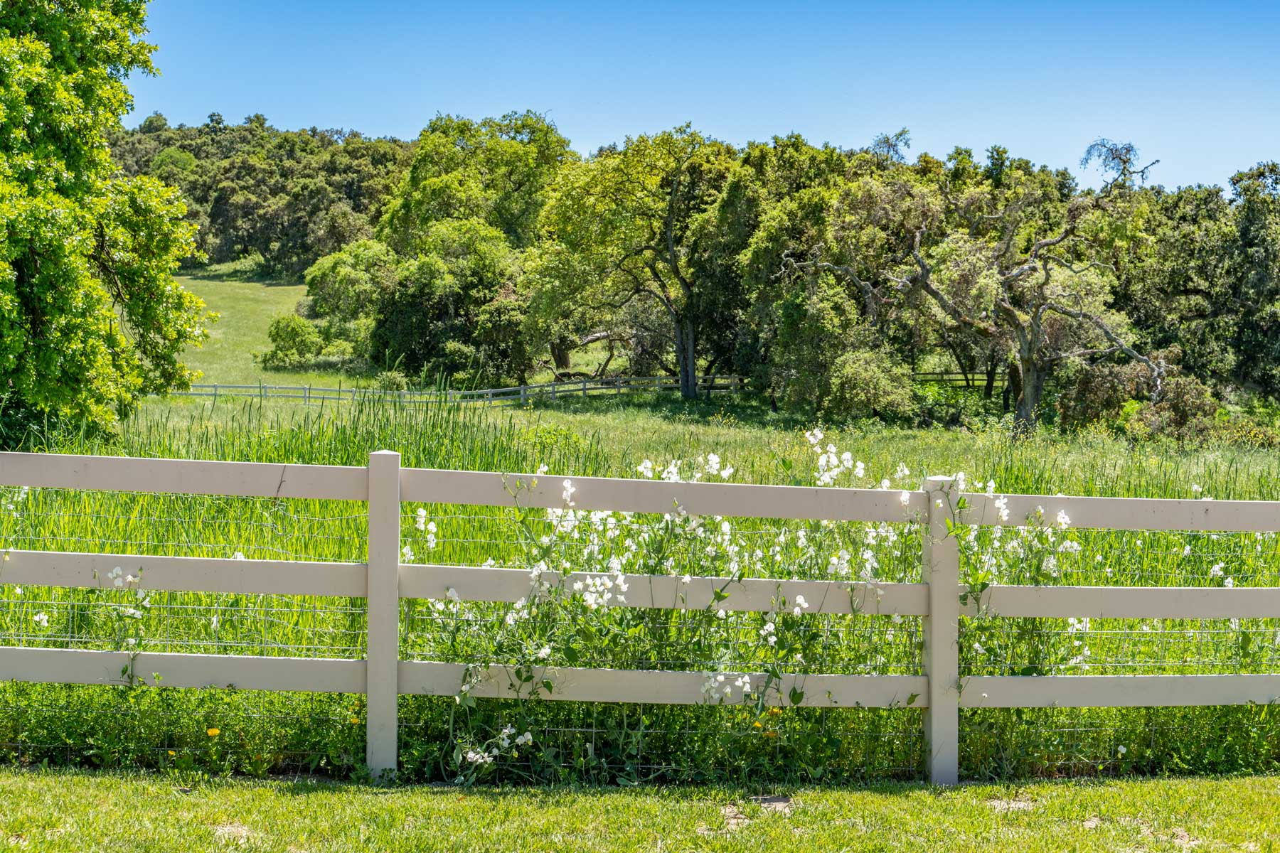 Rana Creek Ranch property picture 71 of 121