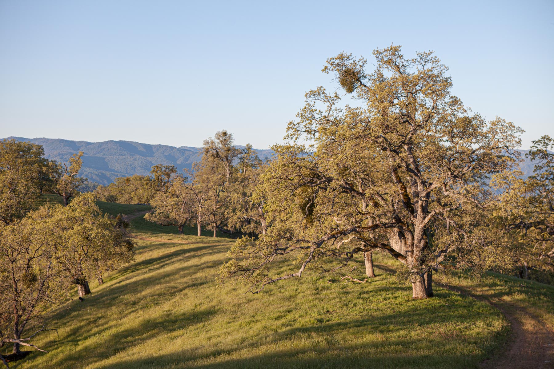 Rana Creek Ranch property picture 101 of 121