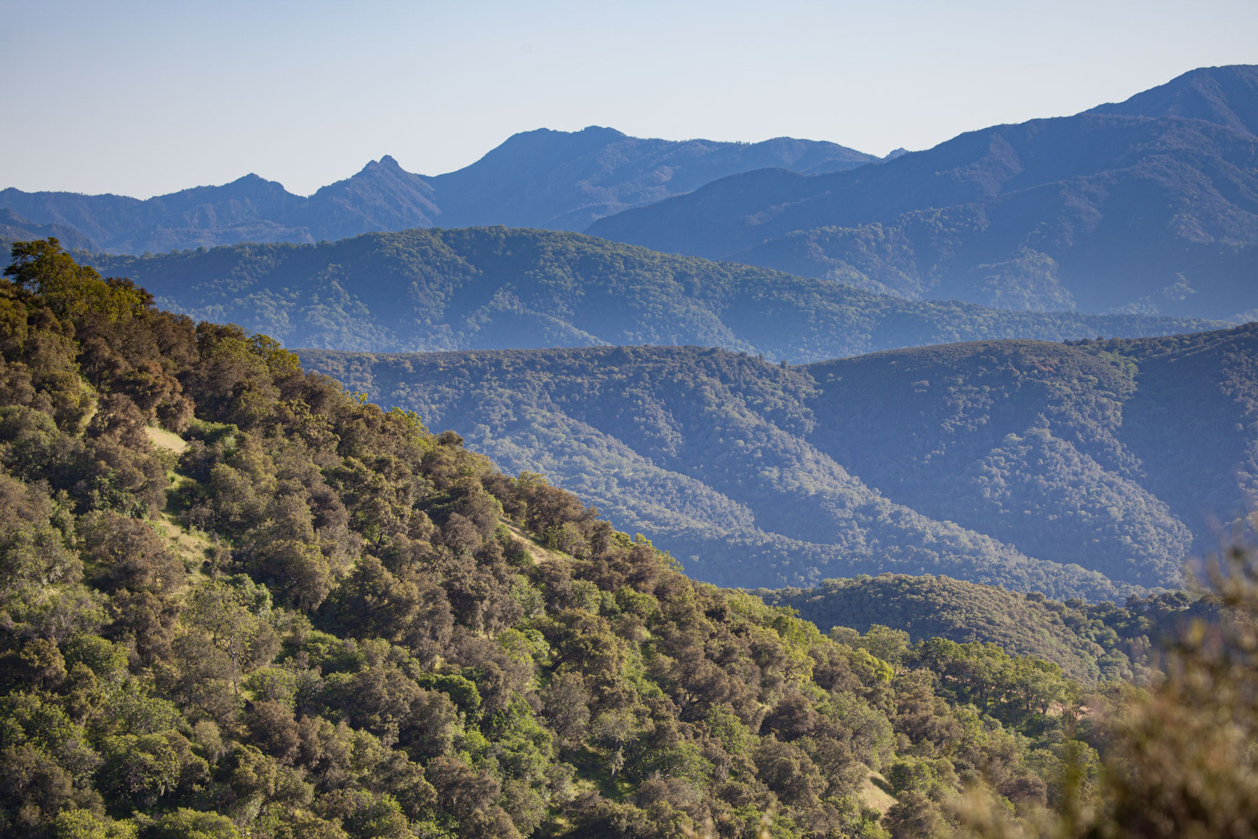 Rana Creek Ranch property picture 88 of 121