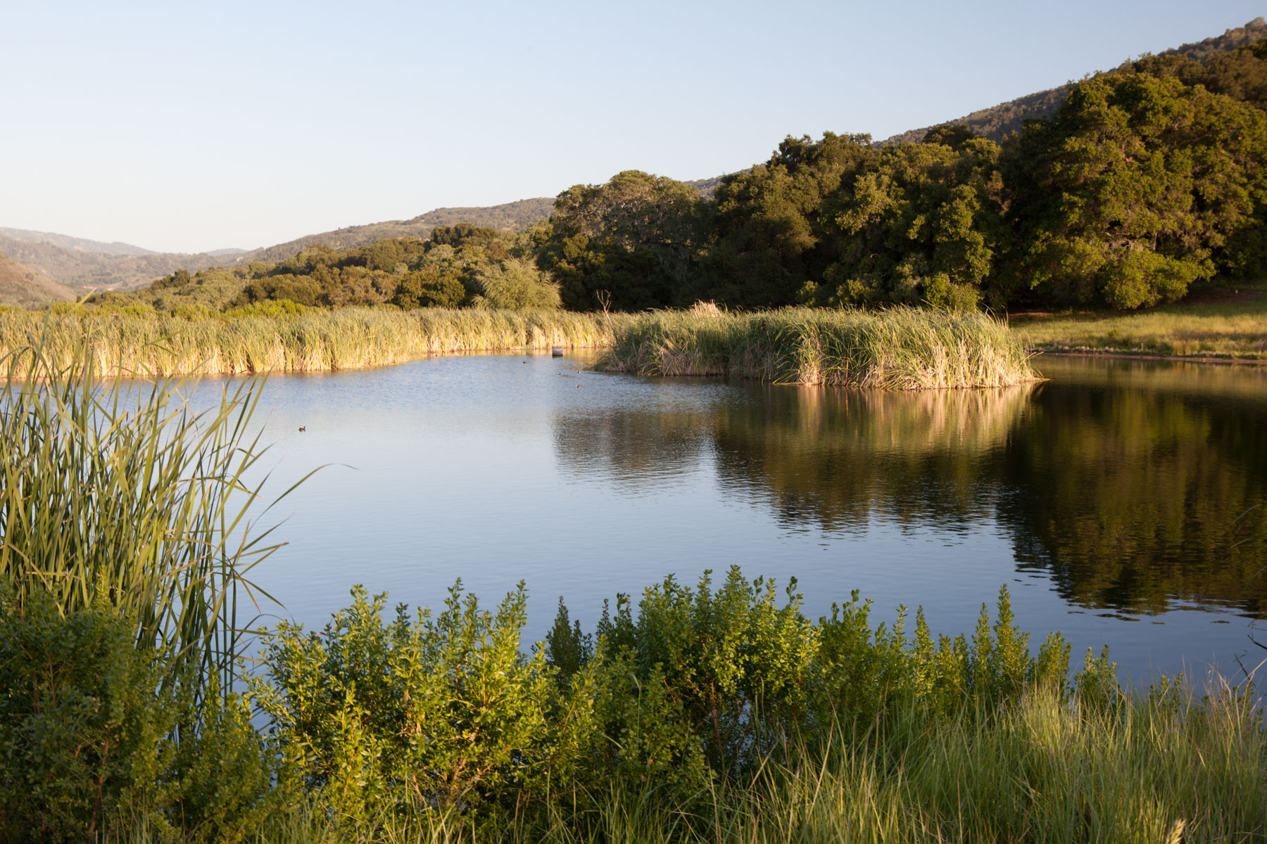 Rana Creek Ranch property picture 18 of 121