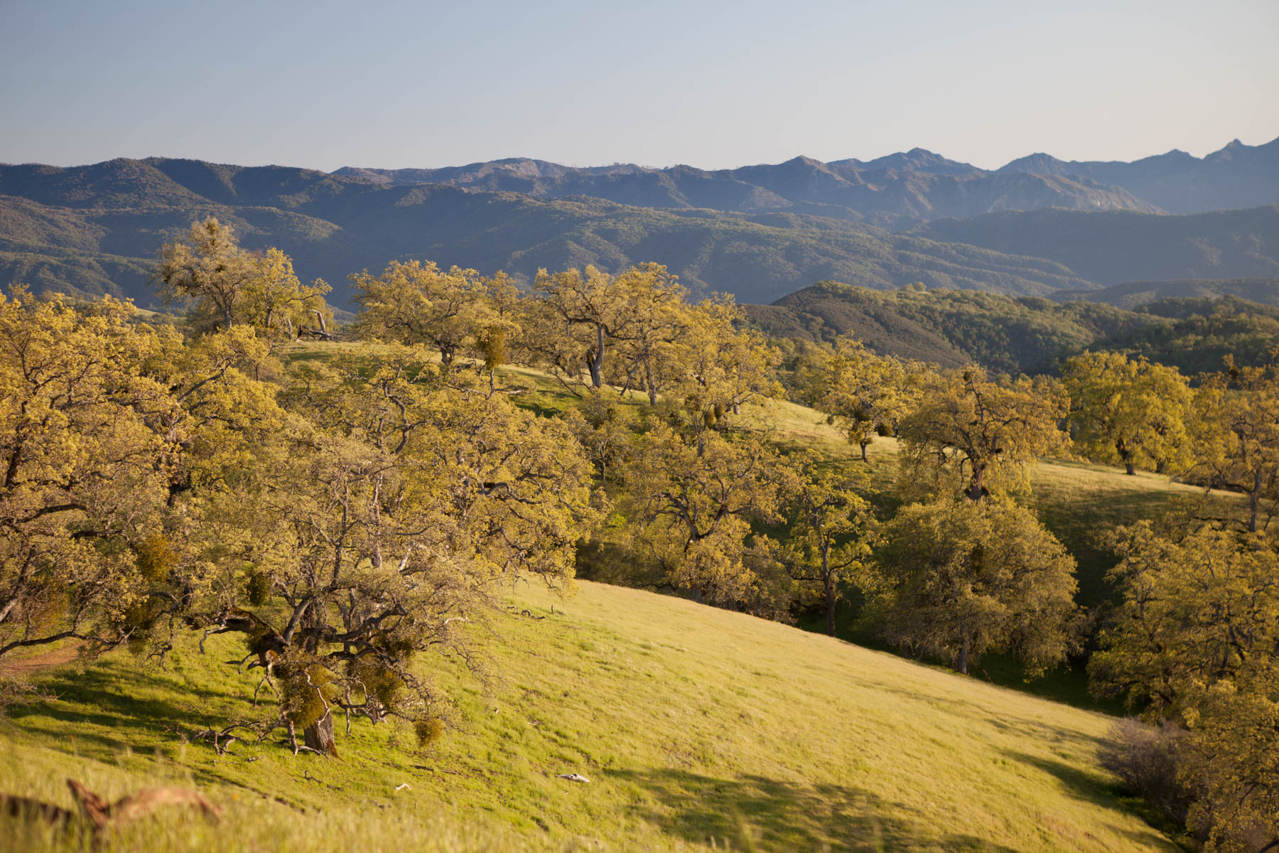 Rana Creek Ranch property picture 91 of 121