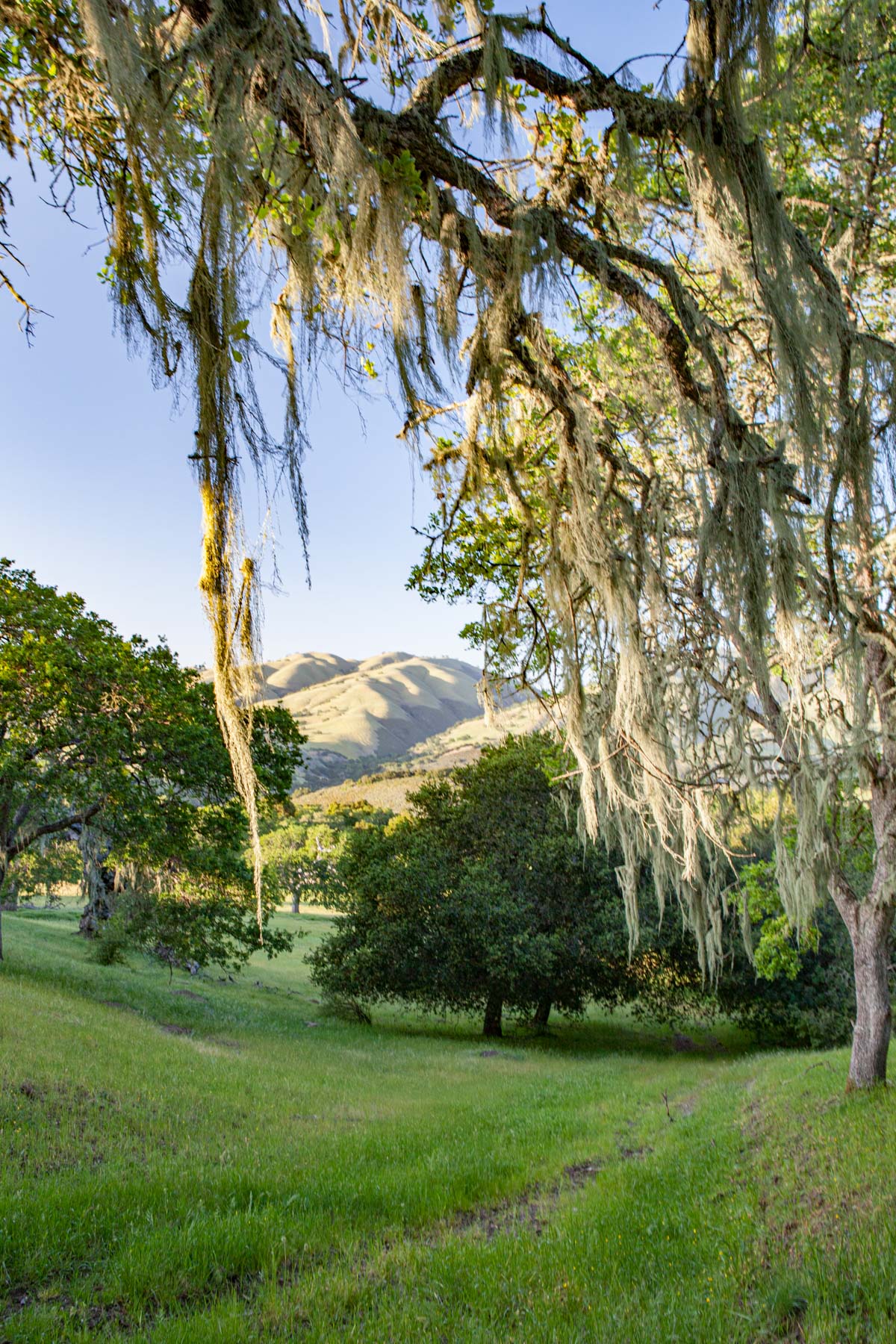 Rana Creek Ranch property picture 16 of 121