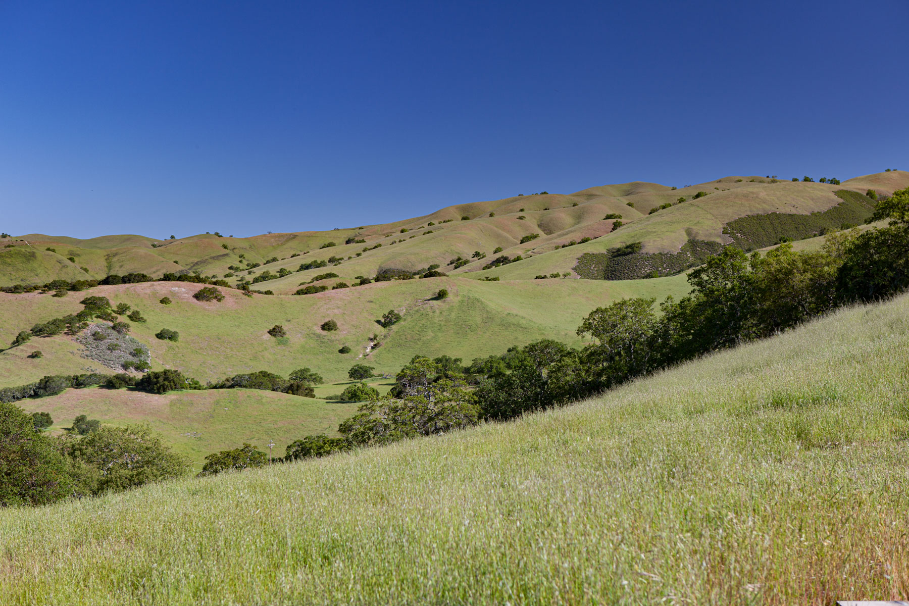 Rana Creek Ranch property picture 87 of 121