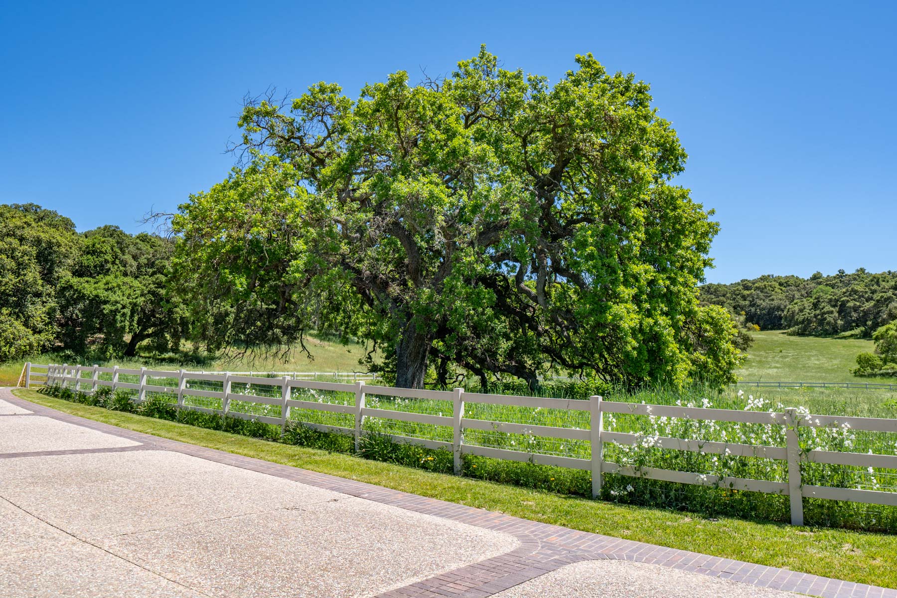 Rana Creek Ranch property picture 70 of 121