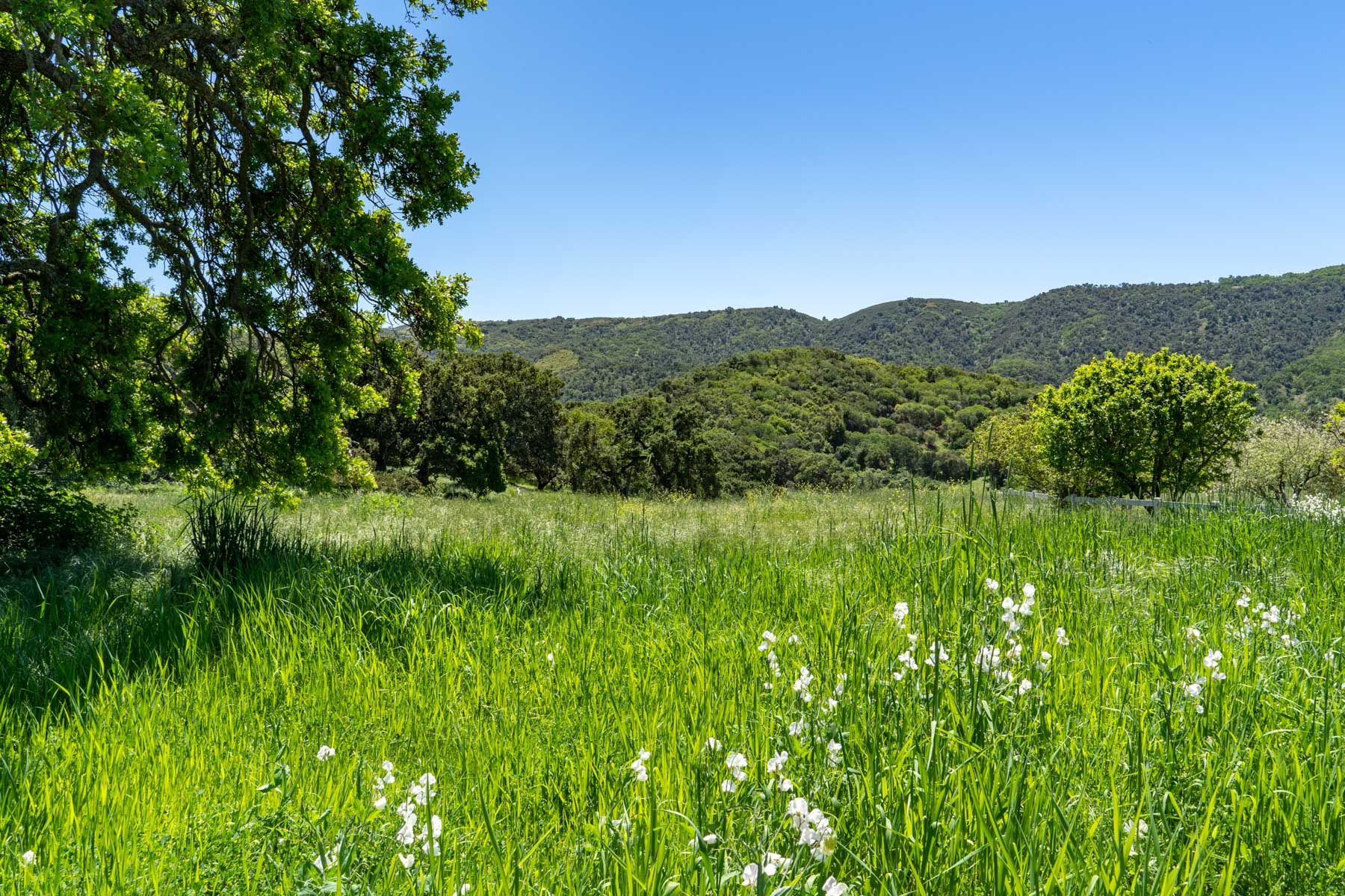 Rana Creek Ranch property picture 72 of 121