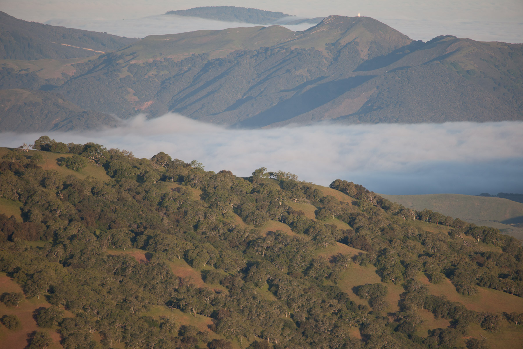 Rana Creek Ranch property picture 96 of 121