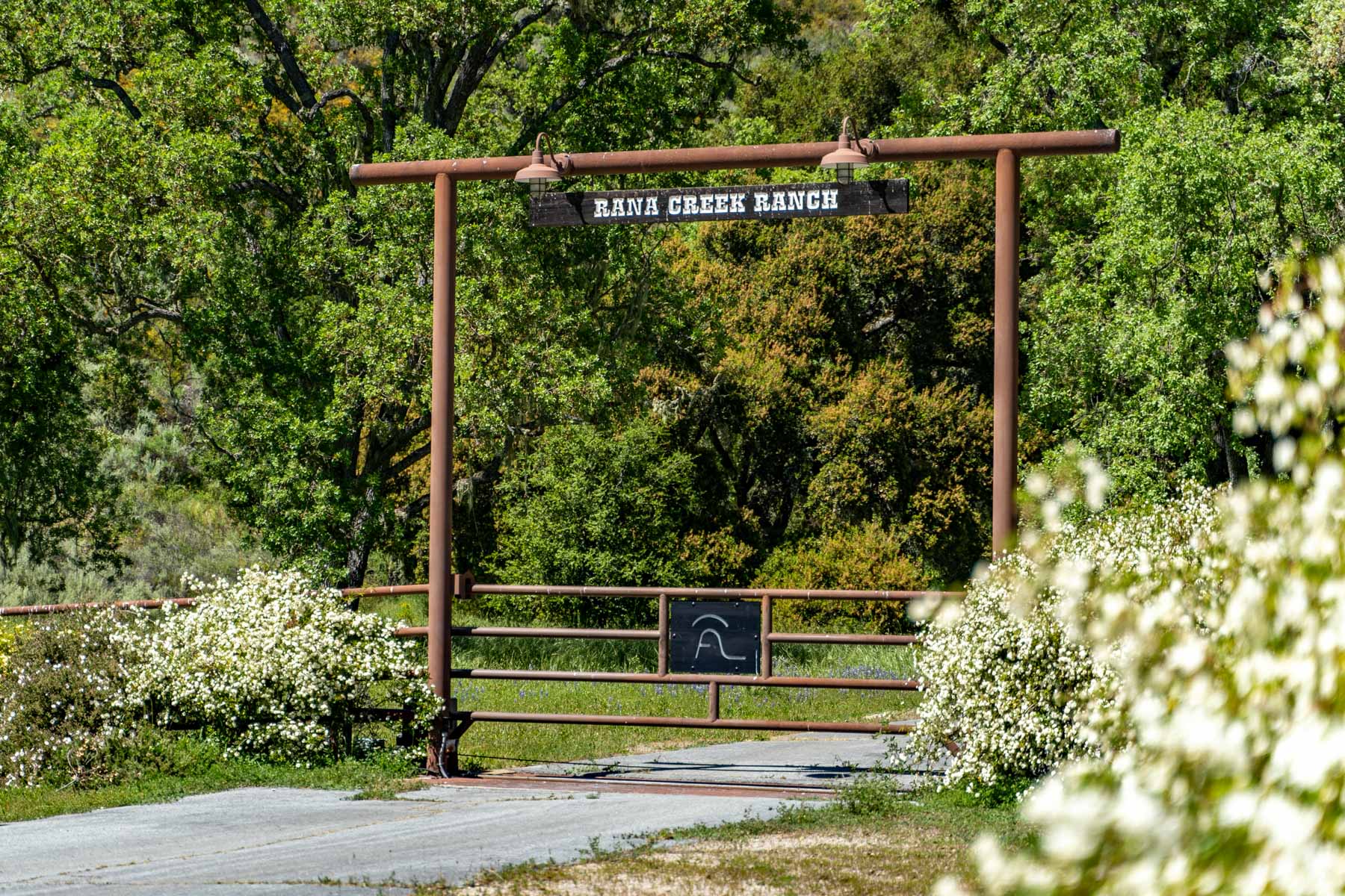 Rana Creek Ranch property picture 4 of 121