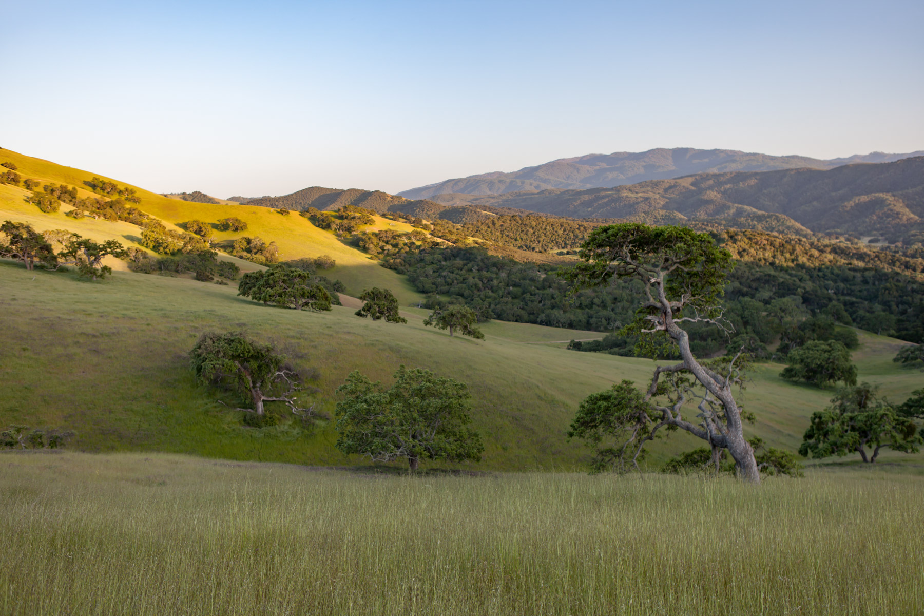 Rana Creek Ranch property picture 118 of 121