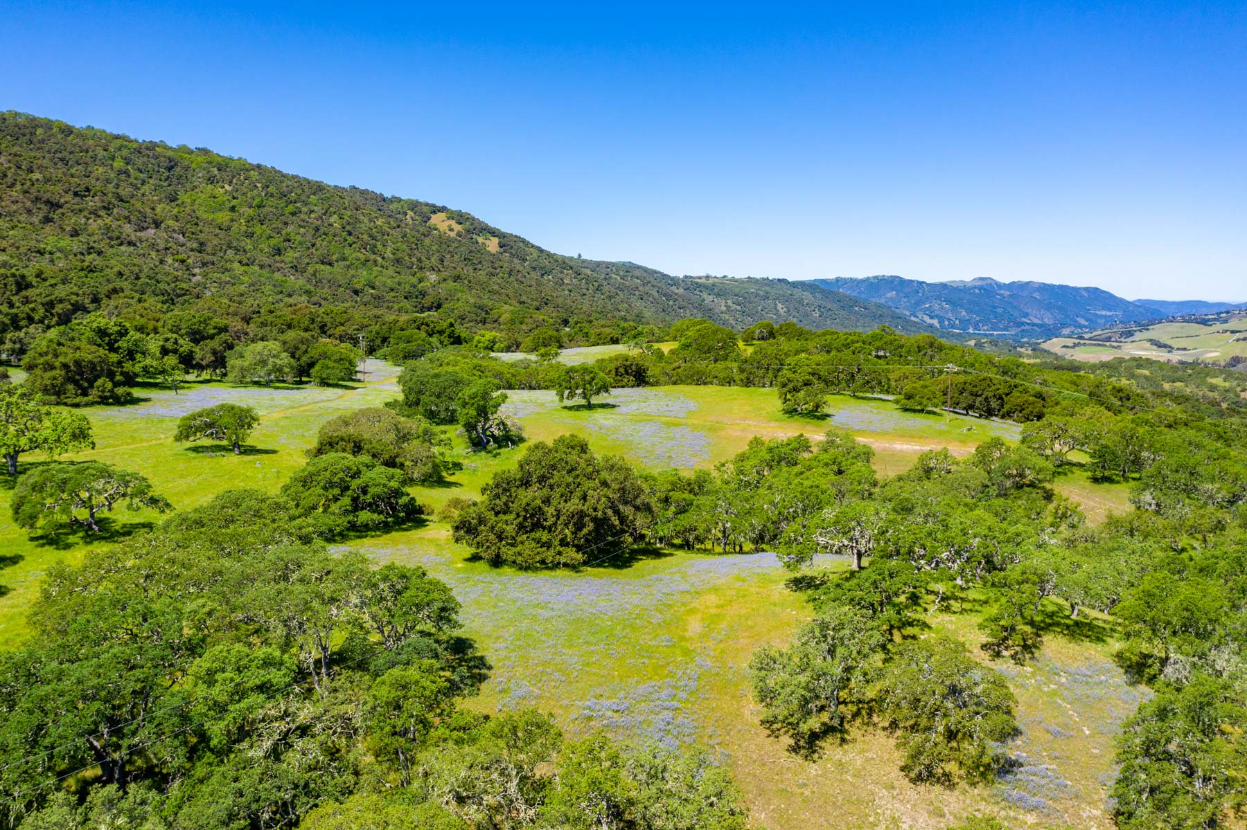 Rana Creek Ranch property picture 61 of 121