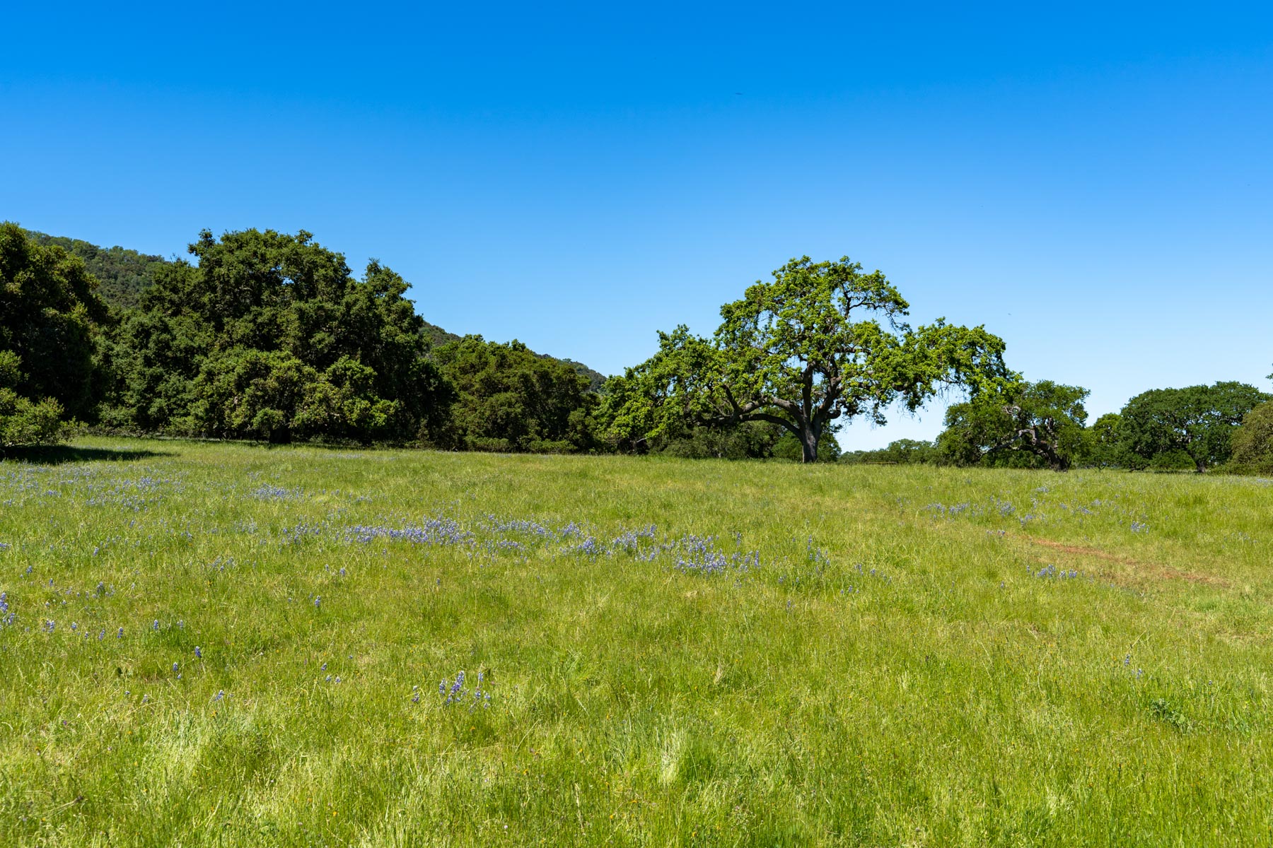 Rana Creek Ranch property picture 64 of 121