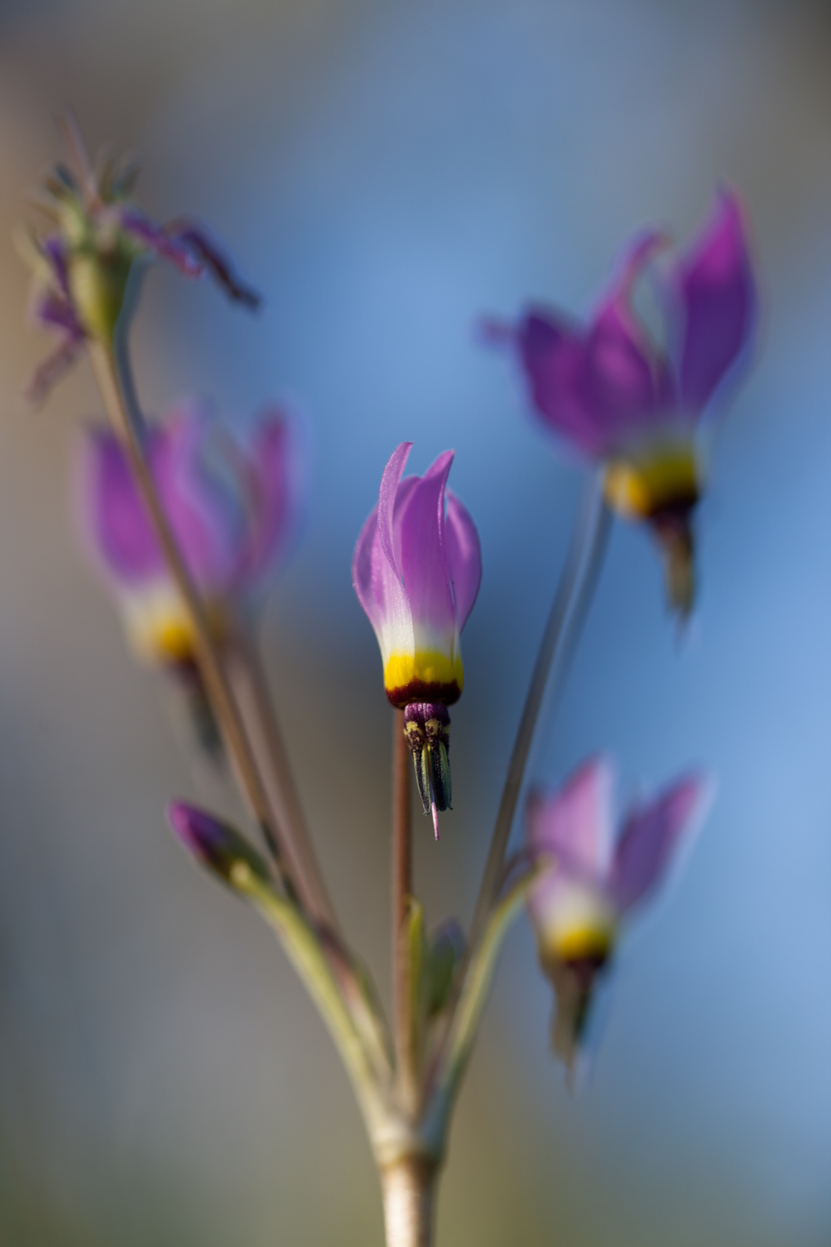 Rana Creek Ranch property picture 103 of 121