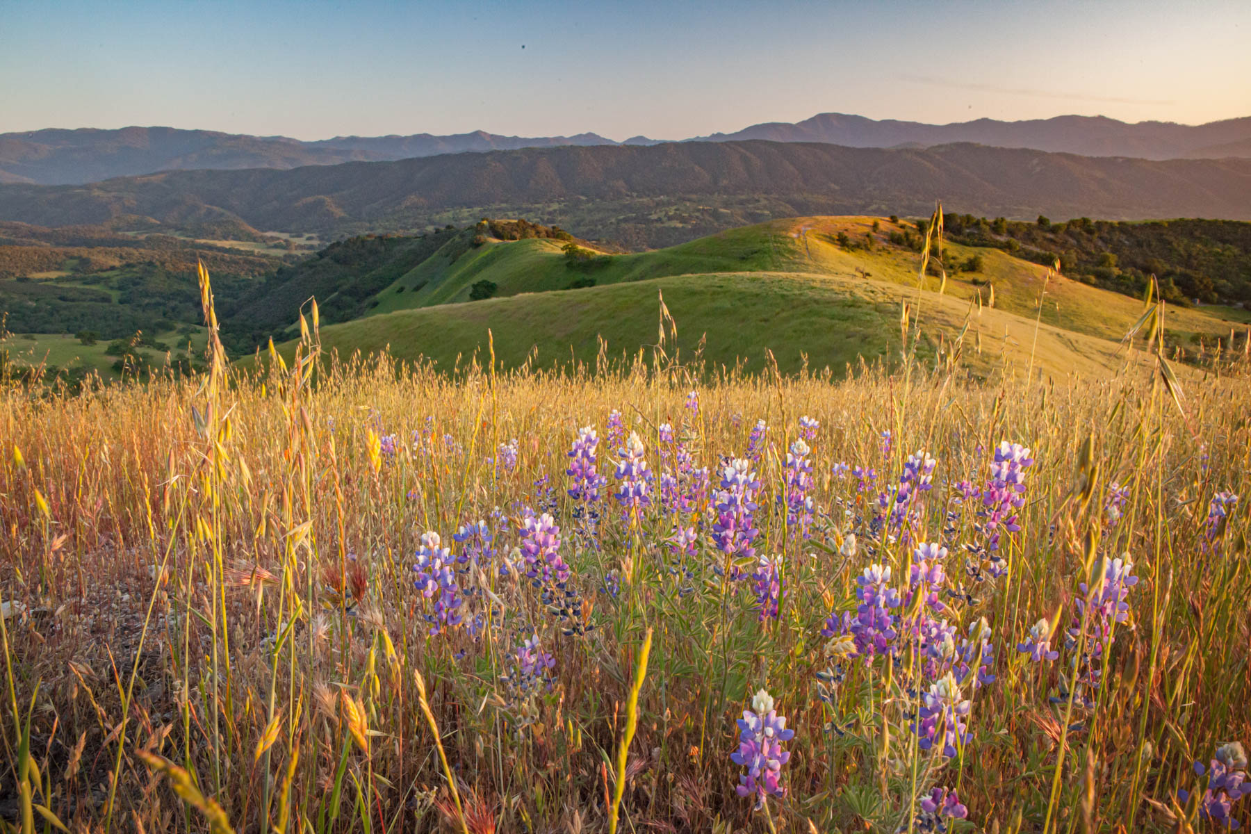 Rana Creek Ranch property picture 6 of 121