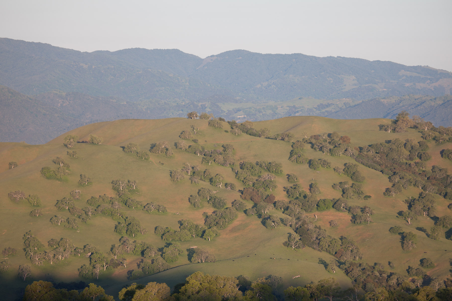 Rana Creek Ranch property picture 97 of 121