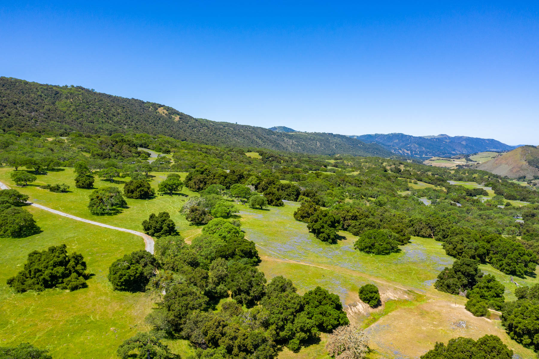 Rana Creek Ranch property picture 59 of 121