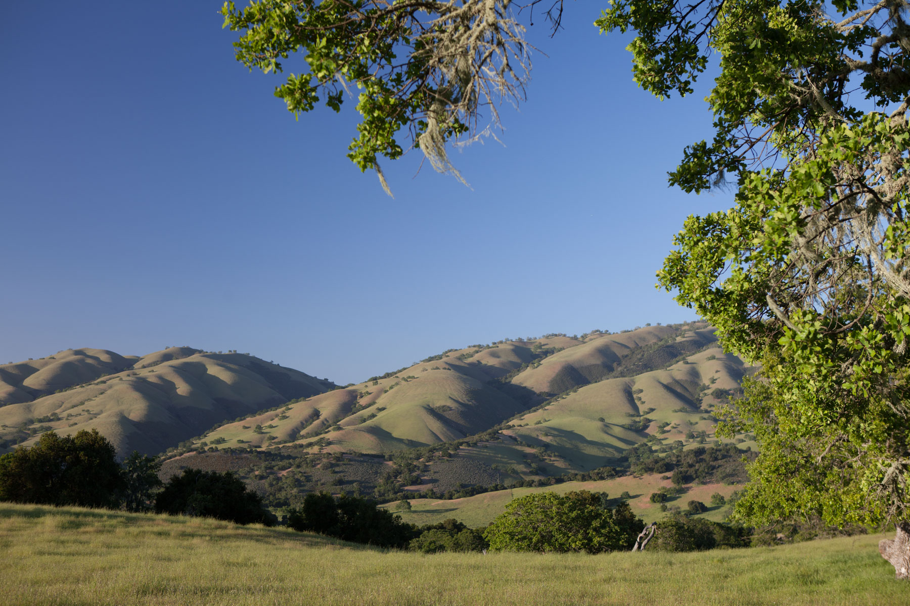 Rana Creek Ranch property picture 112 of 121