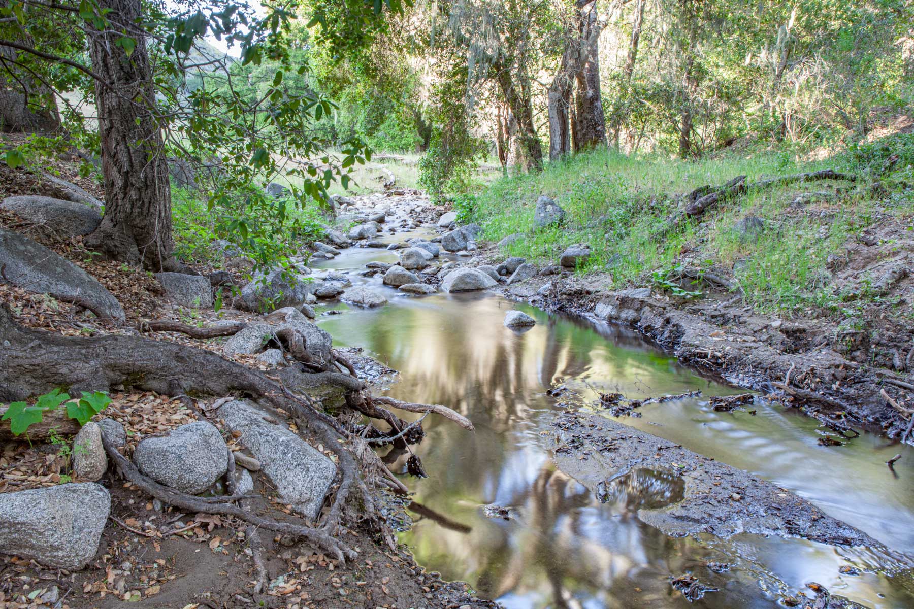 Rana Creek Ranch property picture 7 of 121