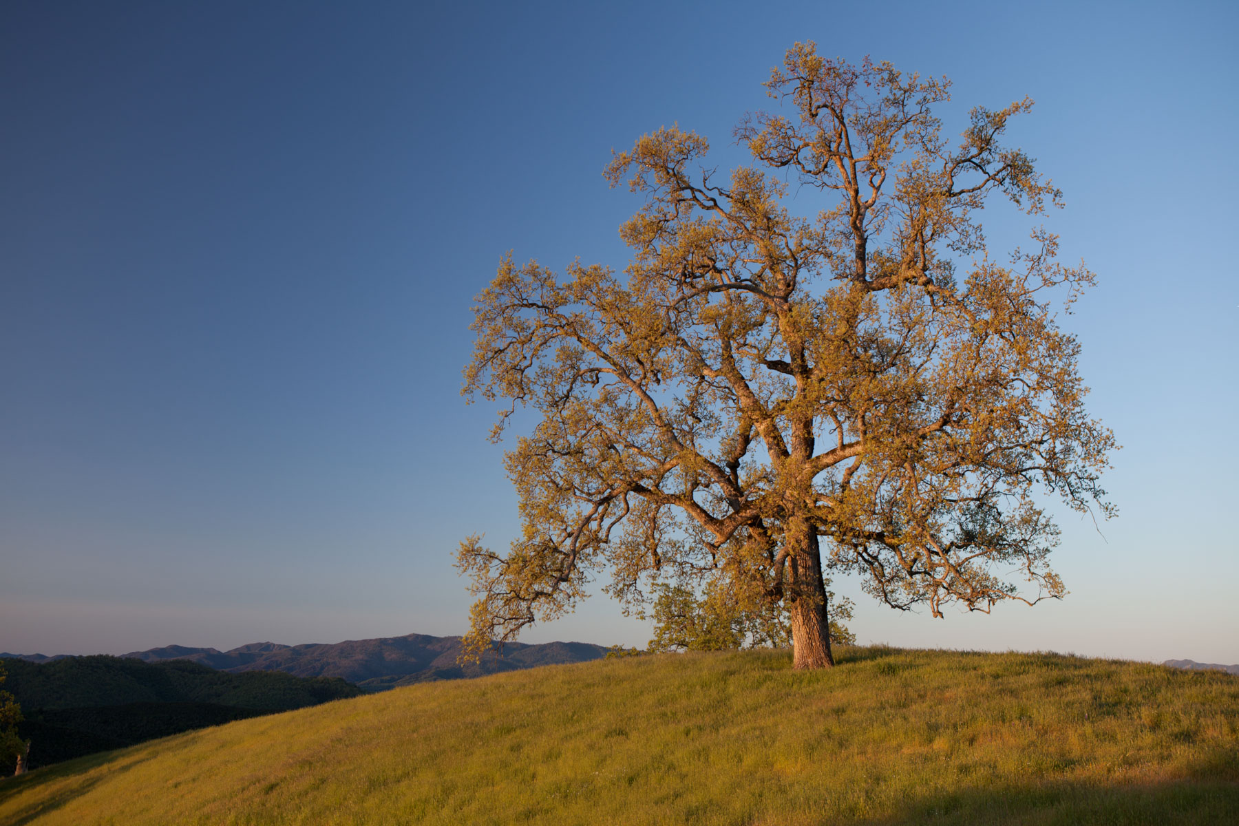 Rana Creek Ranch property picture 94 of 121