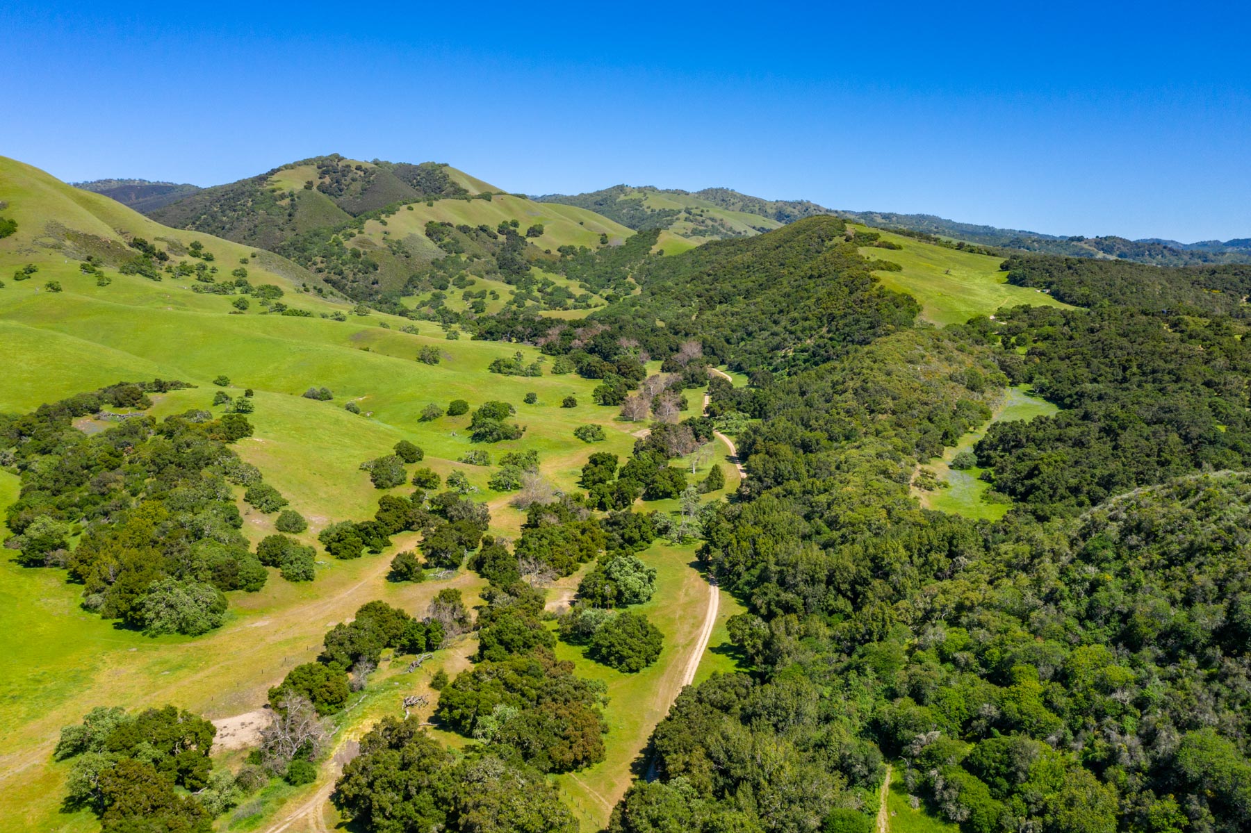 Rana Creek Ranch property picture 75 of 121