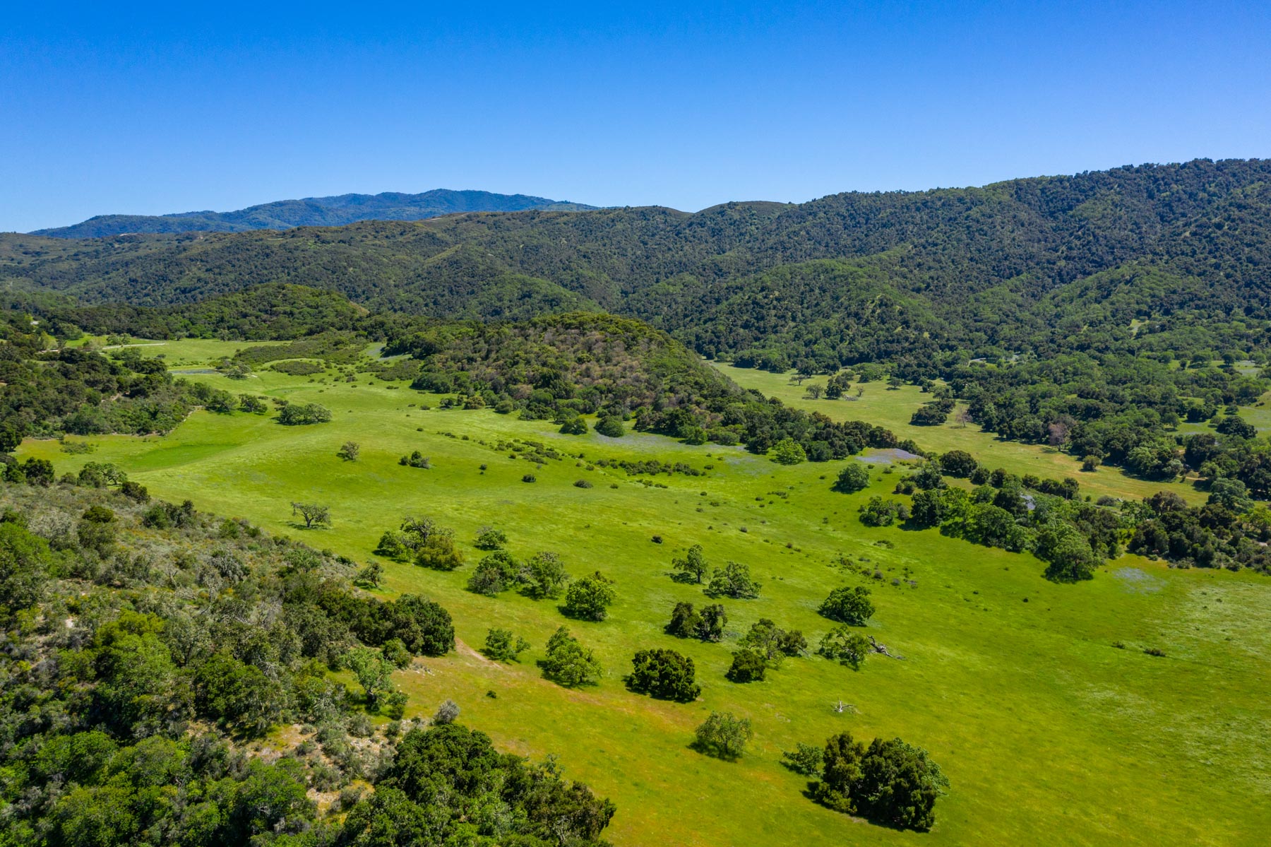 Rana Creek Ranch property picture 77 of 121