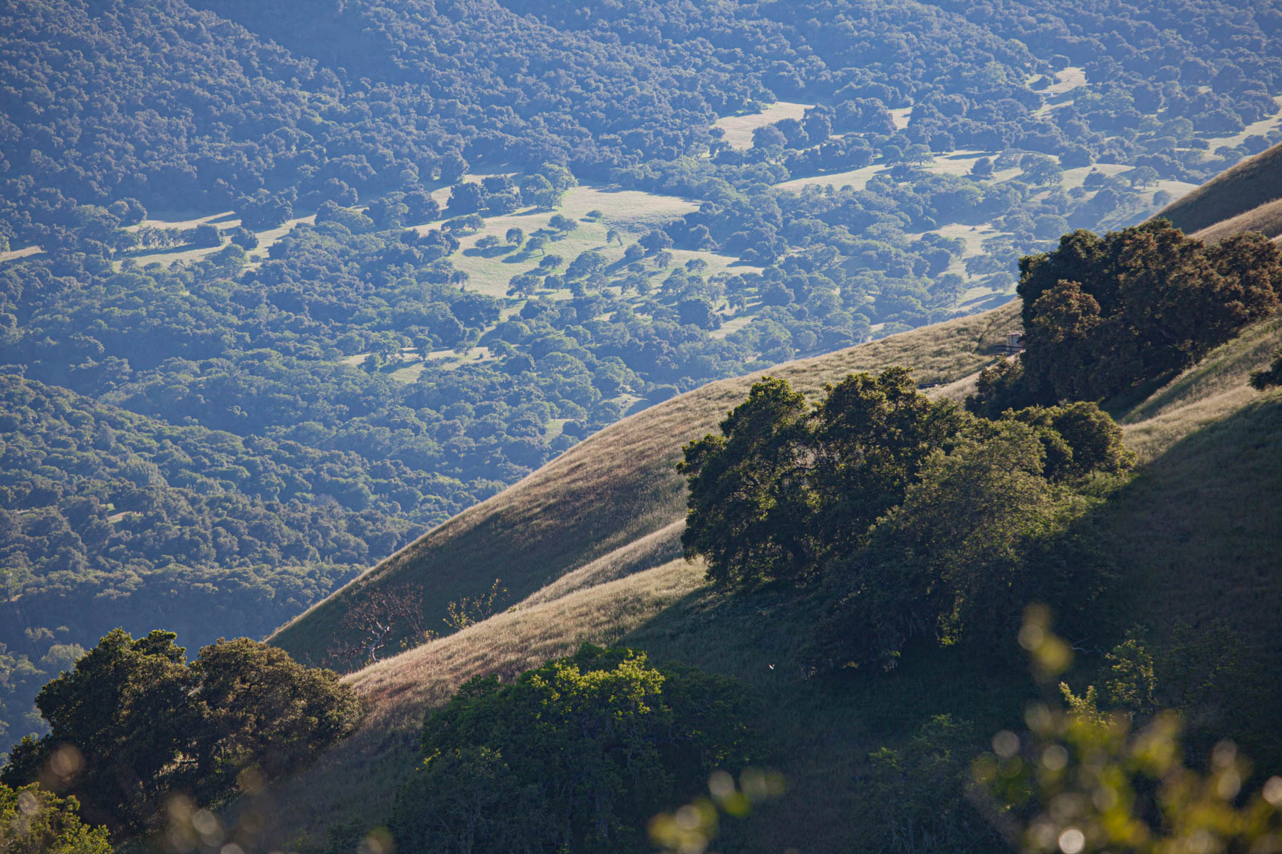 Rana Creek Ranch property picture 13 of 121