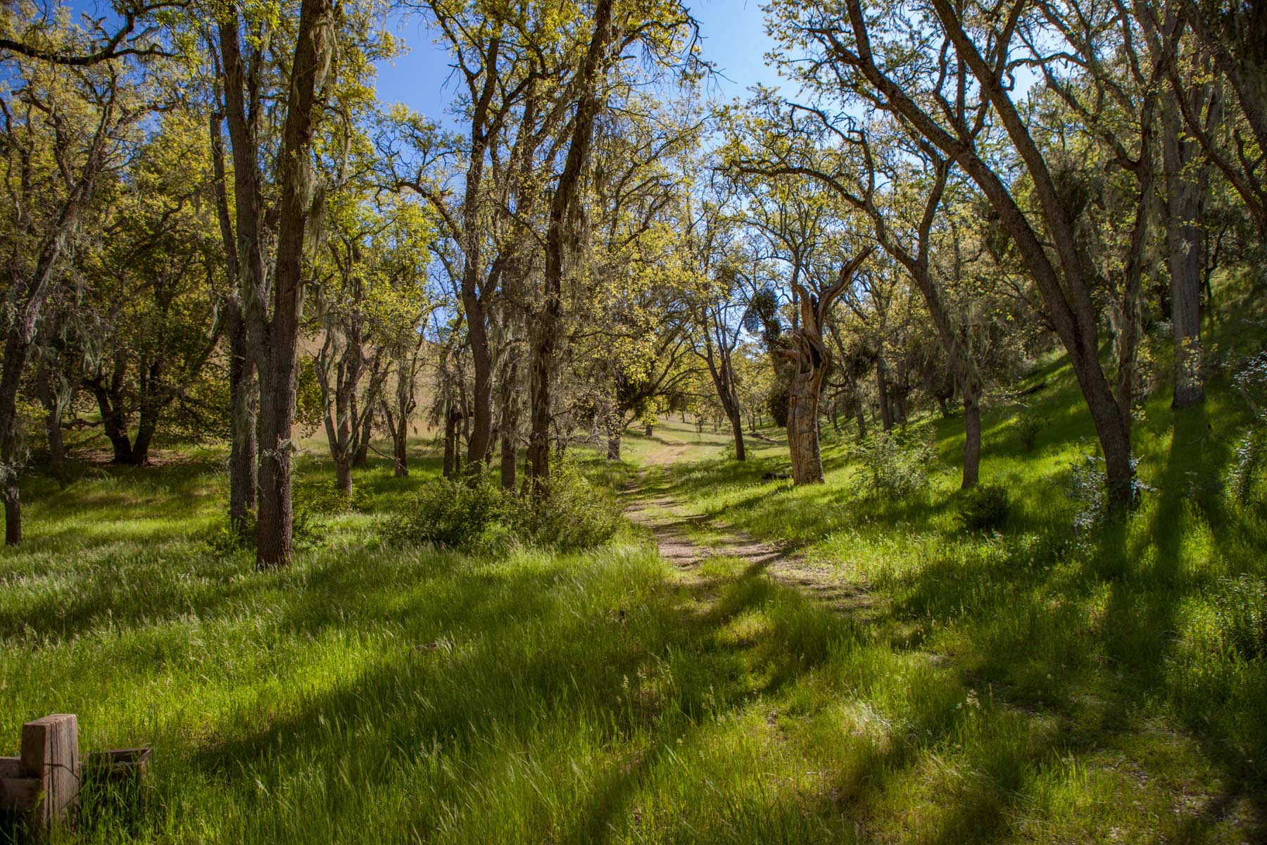 Rana Creek Ranch property picture 11 of 121