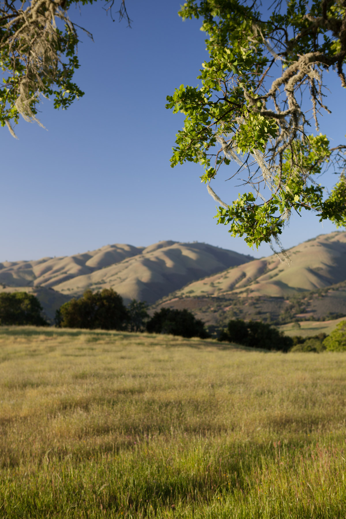 Rana Creek Ranch property picture 113 of 121