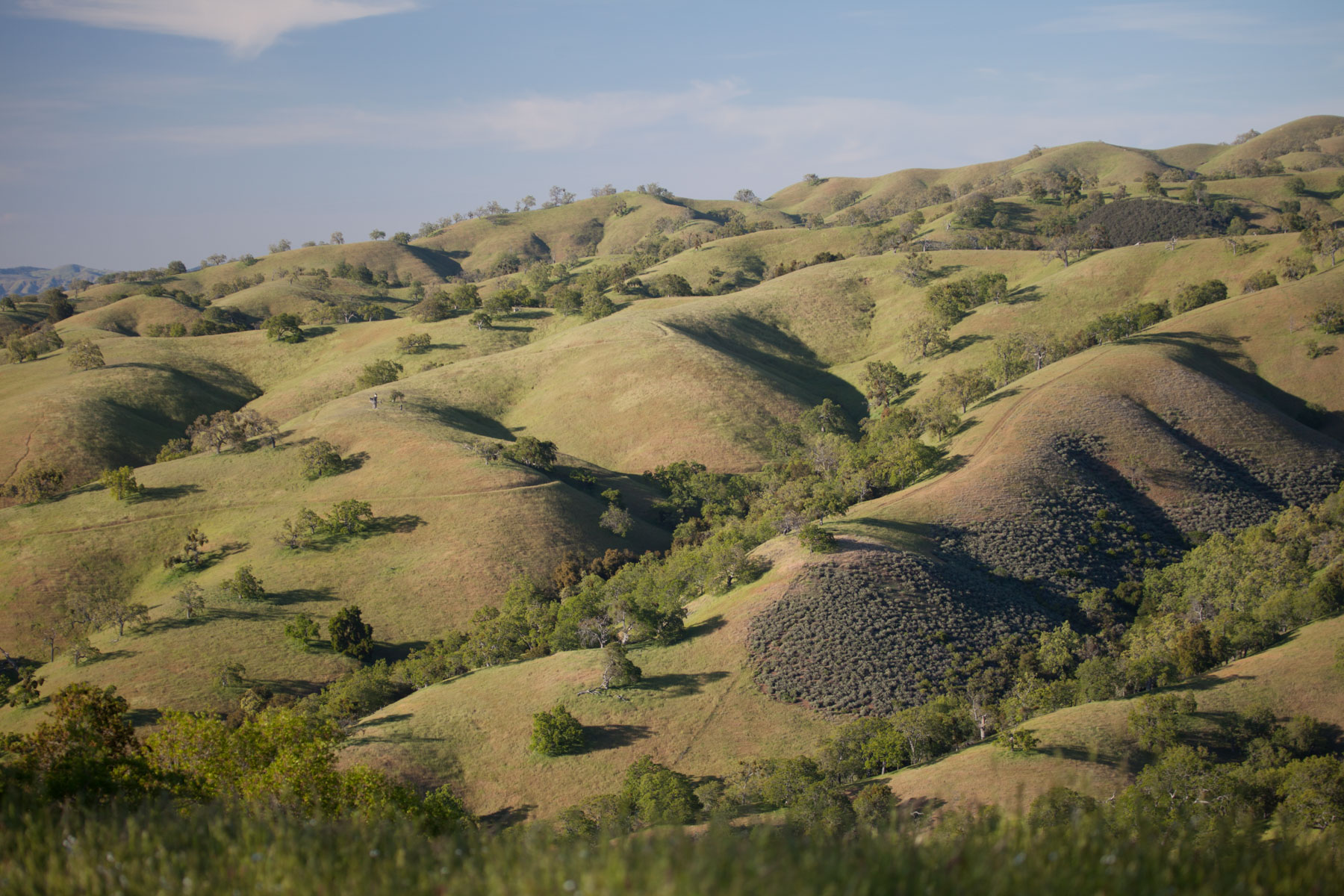 Rana Creek Ranch property picture 89 of 121