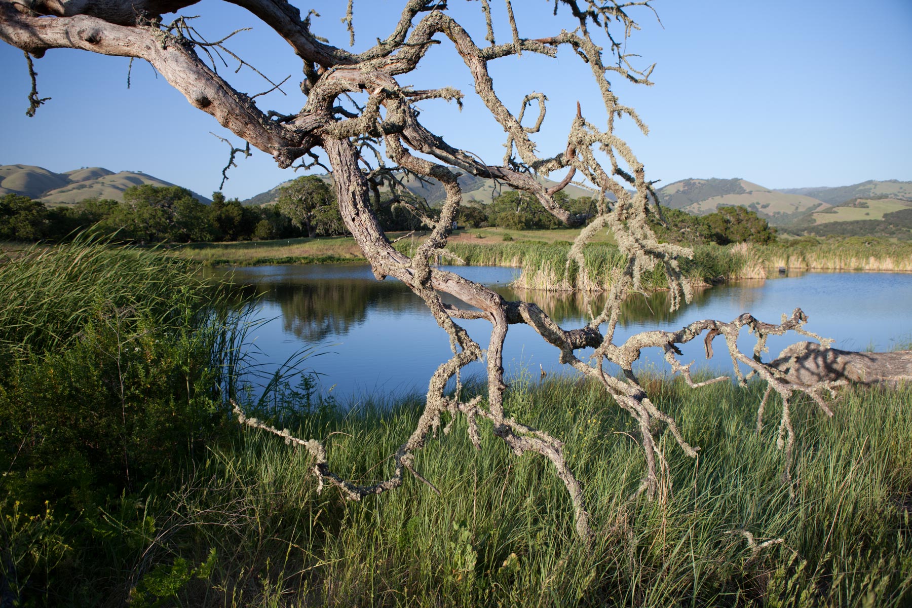 Rana Creek Ranch property picture 17 of 121