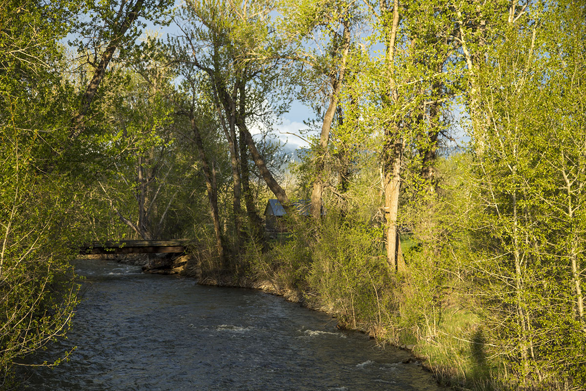 Shields River Farmstead property picture 73 of 74