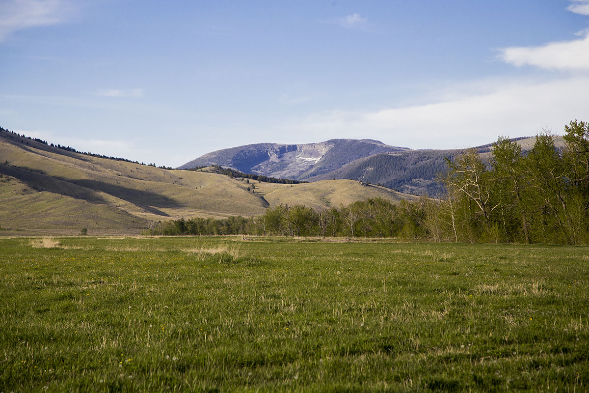 Shields River Farmstead property picture 71 of 74