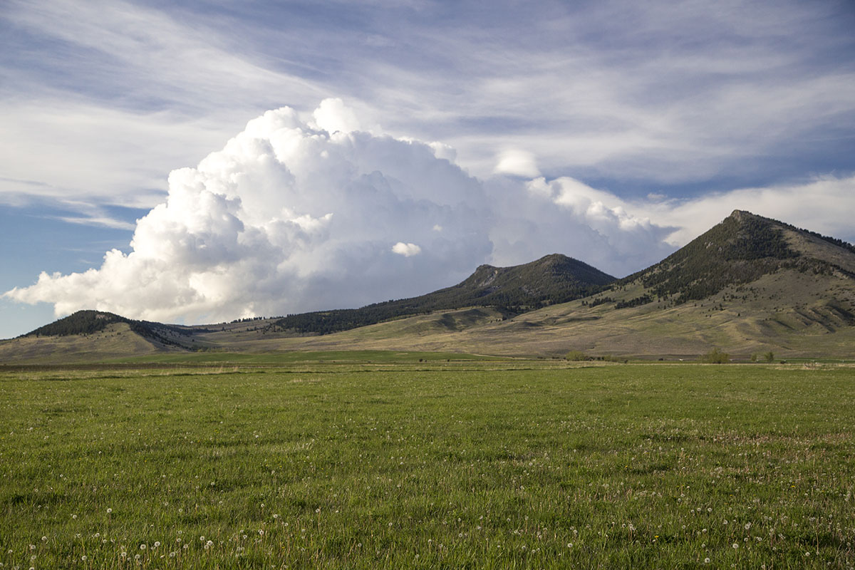 Shields River Farmstead property picture 72 of 74