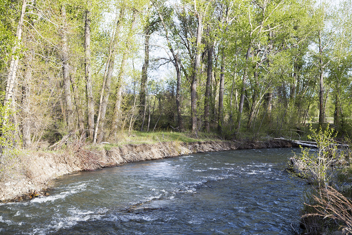 Shields River Farmstead property picture 70 of 74