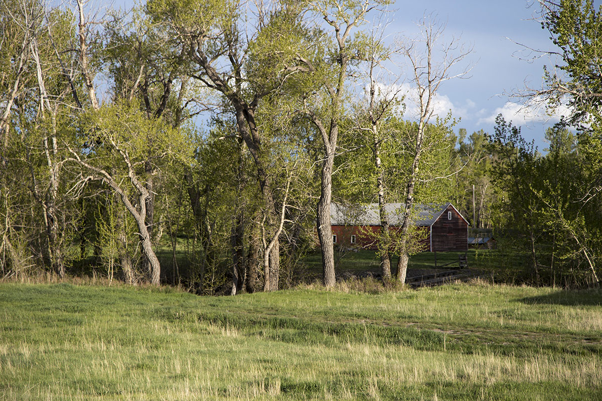 Shields River Farmstead property picture 69 of 74