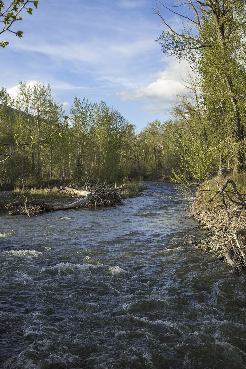 Shields River Farmstead property picture 68 of 74