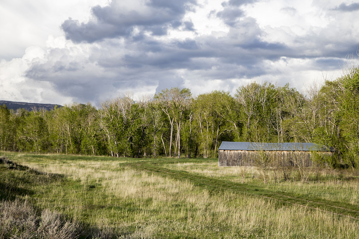 Shields River Farmstead property picture 67 of 74