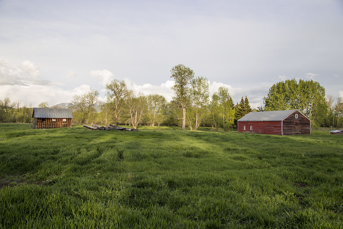 Shields River Farmstead property picture 66 of 74