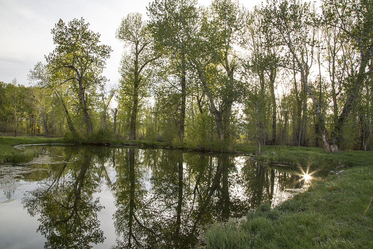 Shields River Farmstead property picture 65 of 74