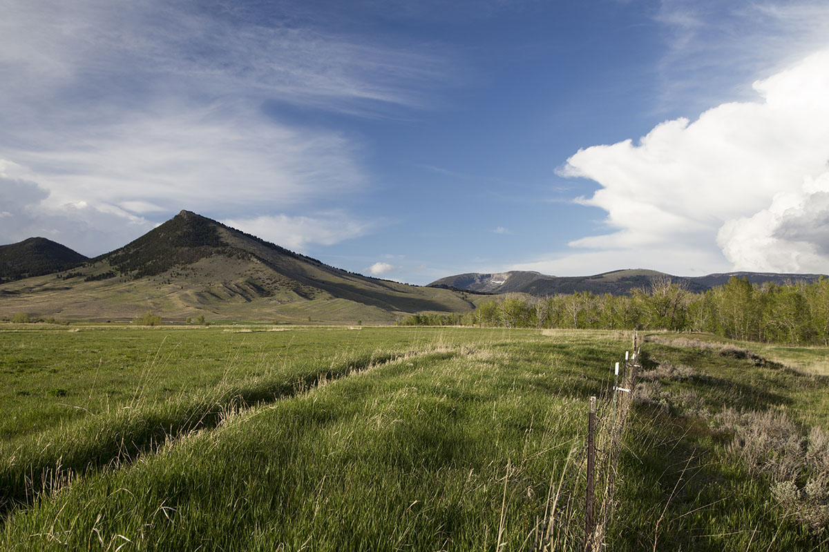 Shields River Farmstead property picture 64 of 74