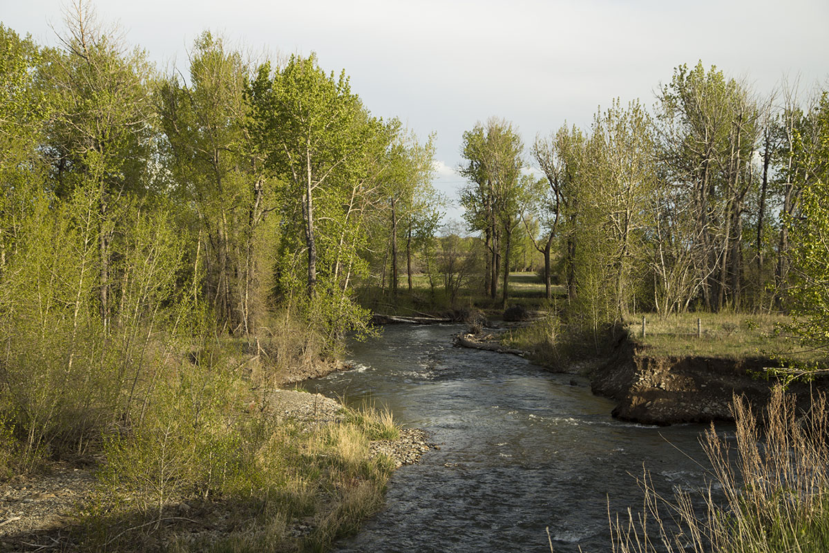 Shields River Farmstead property picture 57 of 74