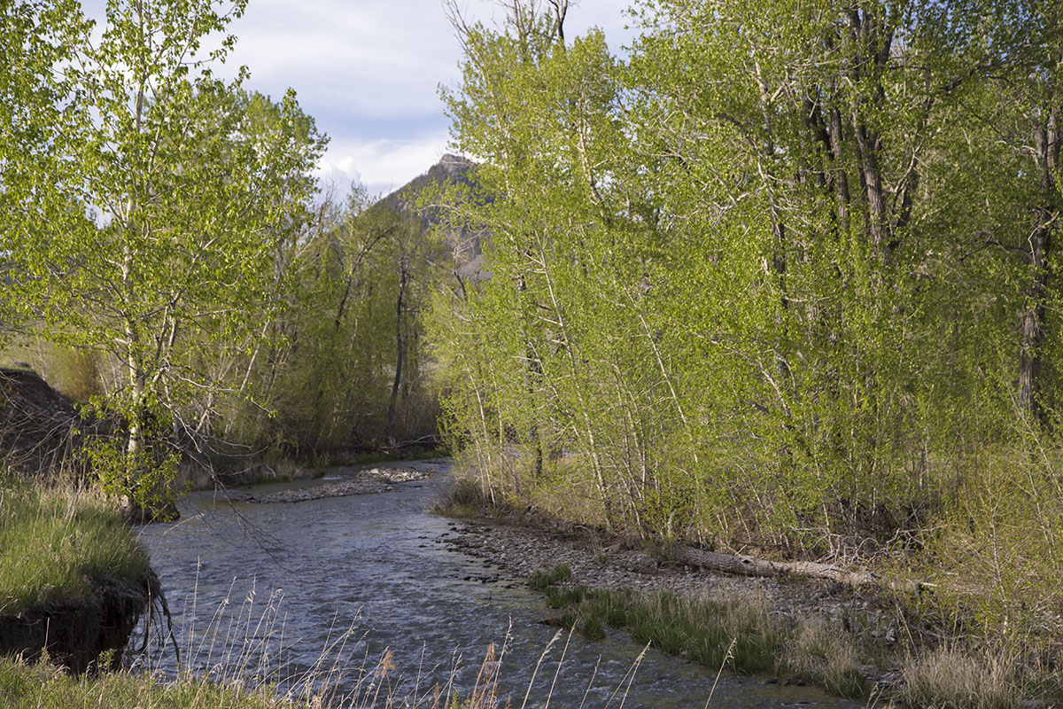Shields River Farmstead property picture 56 of 74